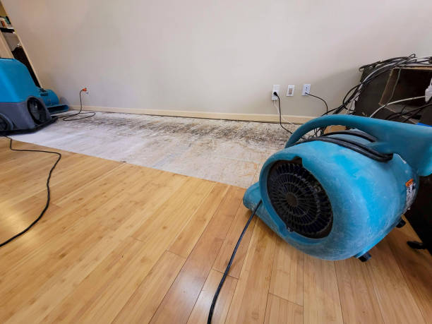 Professional Structural Drying technician working in Groton, CT